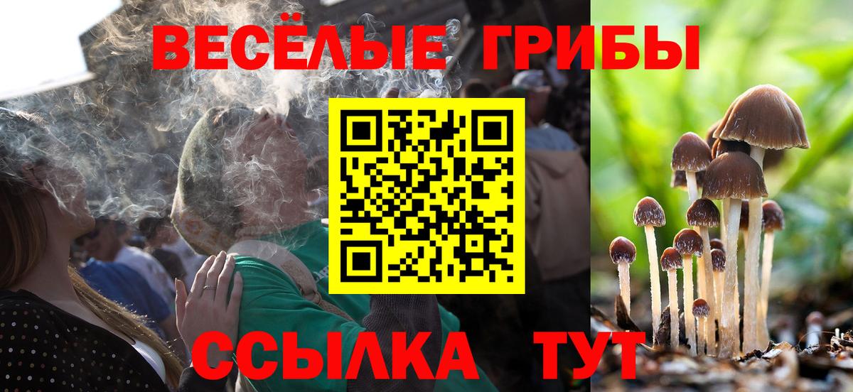 Тара  Псилоцибиновые грибы MAGIC MUSHROOMS  Вход с VPN 